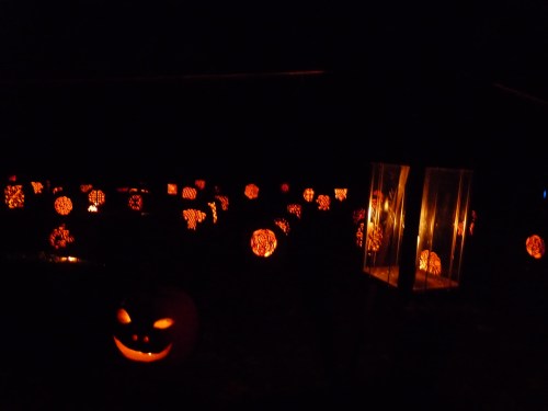 "We seeeeee yooooou....."